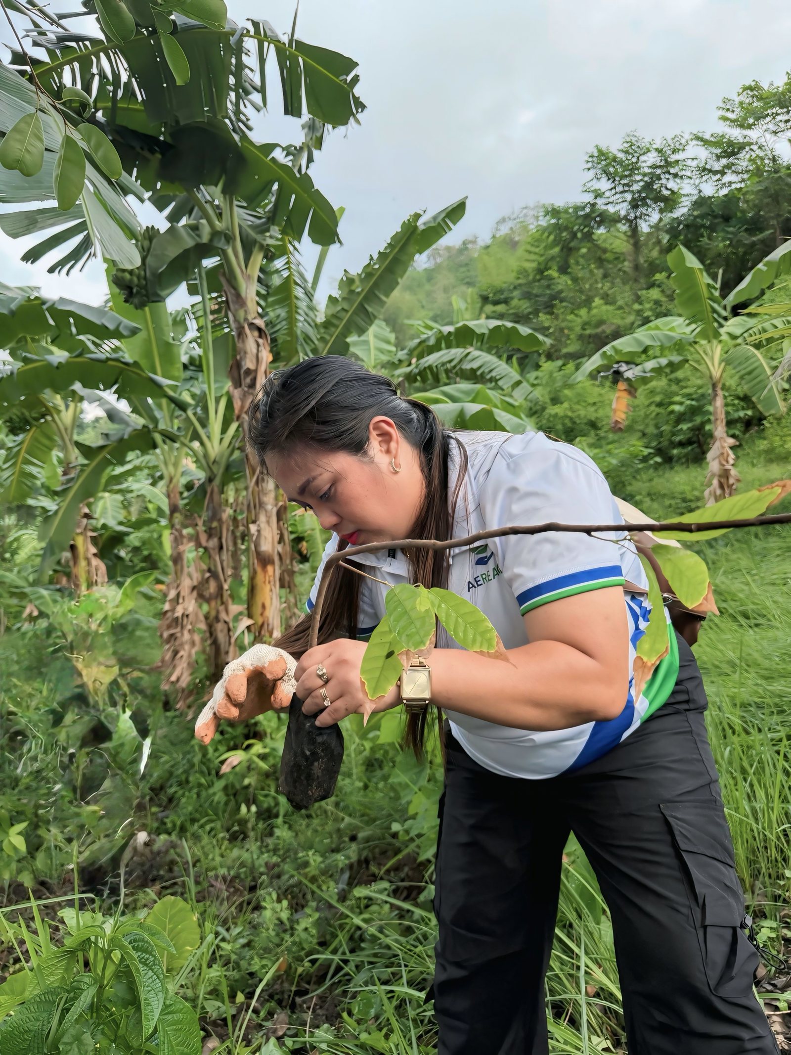 An Aereach team member planting a seedling.
