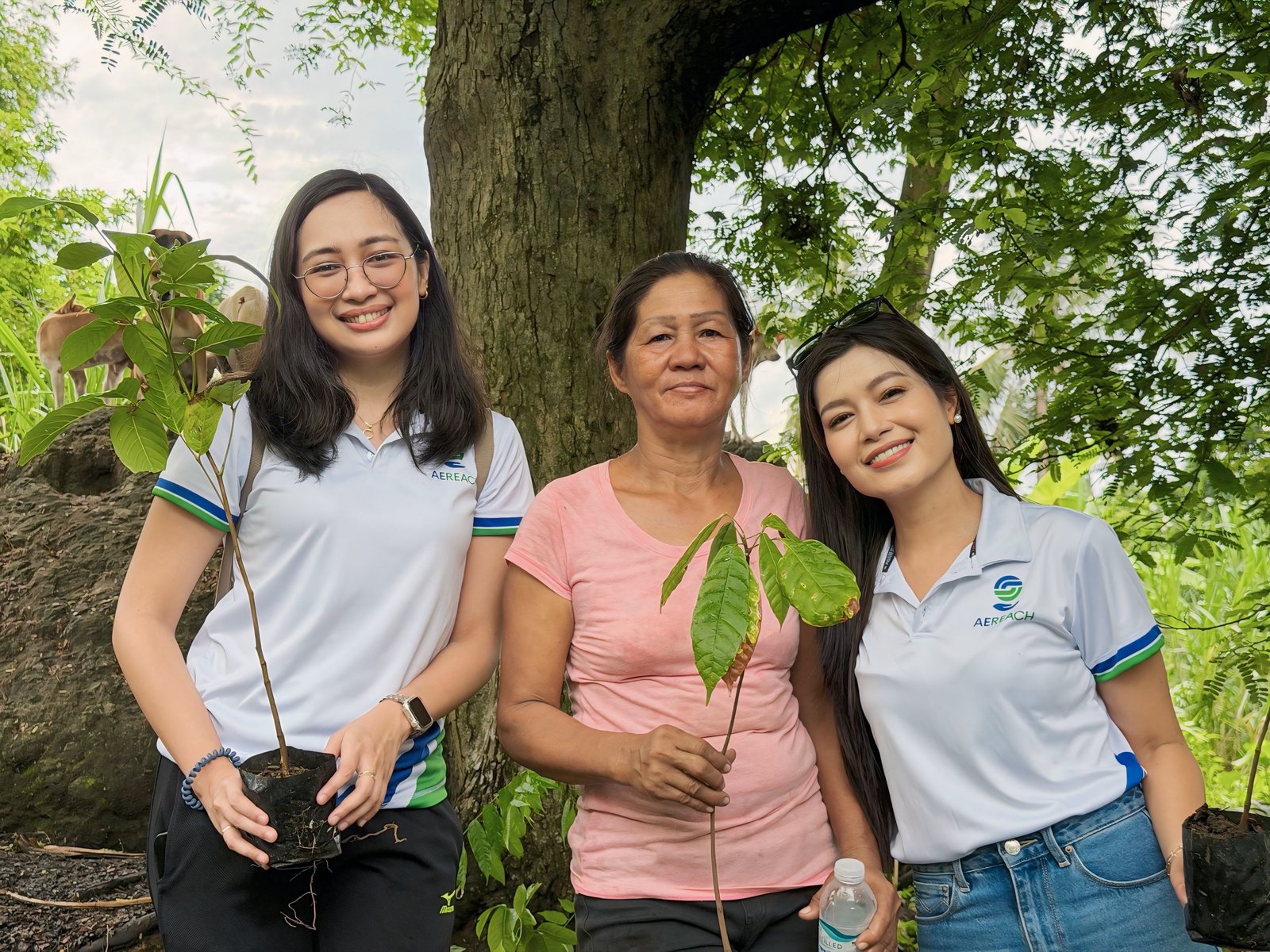 Three volunteers holding seedlings ready to go into the ground.